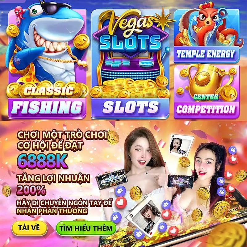 cmd368